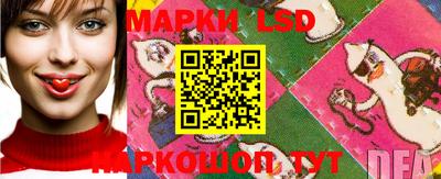 МДПВ Новодвинск