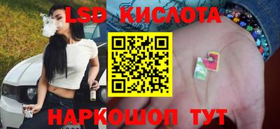 Альфа ПВП Новозыбков