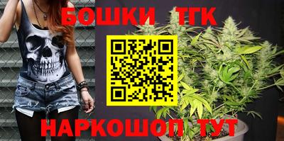 МДПВ Новодвинск